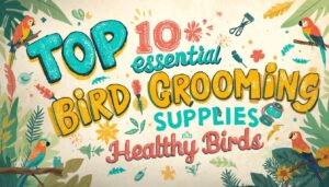 essential bird grooming supplies essential bird grooming supplies