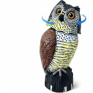 GiftExpress 16" Large Owl Decoy B07V4TJLHK