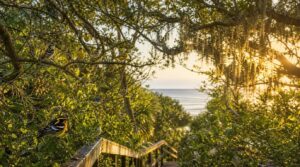 gulf coast stopovers during spring migration gulf coast stopovers during spring migration