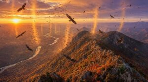 how geography funnels migrating raptors how geography funnels migrating raptors