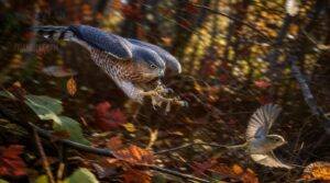 hunting behavior and diet hunting behavior and diet