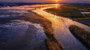 important stopover habitats important stopover habitats