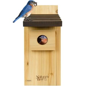 Nature’s Way Cedar Bluebird House B0GN4LD7CK
