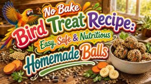 no bake bird treat recipe no bake bird treat recipe