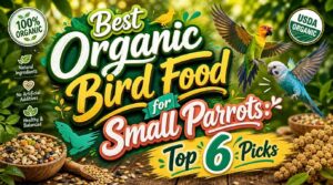 organic bird food for small parrots