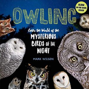 Owling: Enter the World of 1612129625