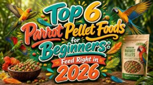 parrot pellet foods for beginners
