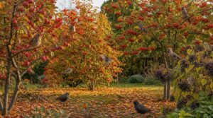 planting trees for longer feeding planting trees for longer feeding
