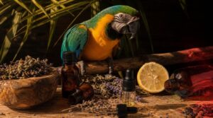 remedies to avoid or use carefully remedies to avoid or use carefully