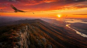 ridge lines, coastlines, and river valleys ridge lines, coastlines, and river valleys