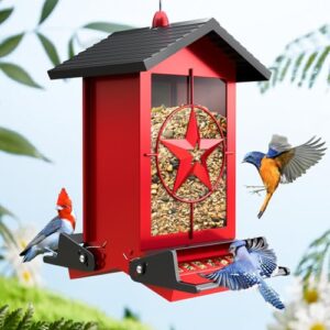 Squirrel Proof Bird Feeders for B0DFVYFHXM