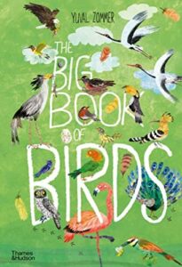 The Big Book of Birds 0500651515