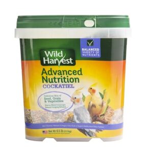 Wild Harvest WH 83541 Wild Harvest B00N4V2E0G