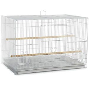 A&E Cage Co 503 White B09WJ5DBFD