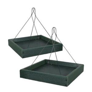 Audubon Recycled Plastic Platform Bird B075GXZ6FN