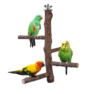 Bird Perch Stand Toy, Natural B08QF8GGPD