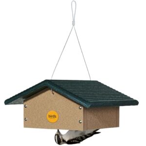 Birds Choice Upside Down Suet B0012SCNBI