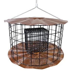 Erva Starling Proof Barrier Guard Feeder B0058DNV96