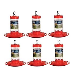 First Nature 3051 Hummingbird Feeder, B07NQQS3G3