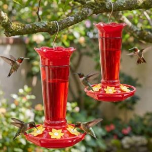 Gbekery 10 OZ Glass Hummingbird B0D5CLWYSB