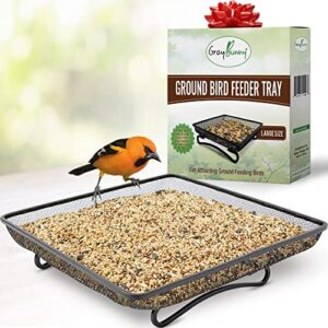 Ground Bird Feeder Tray for B089MDQX86