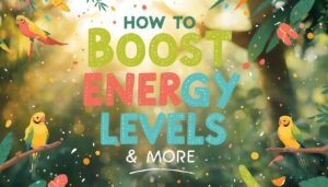 how to boost energy levels in pet birds how to boost energy levels in pet birds