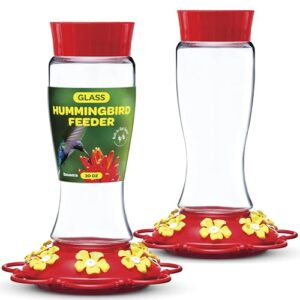 Hummingbird Feeder 30 oz [Set B09TDGWYF8