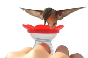 Hummingbird Ring Feeder (Red) B075X3WKSQ