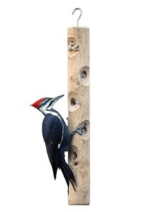 Kettle Moraine Large Cedar Suet B08K3R8T8R