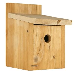 Nature's Way Cedar Box Wren B08KSGH98P