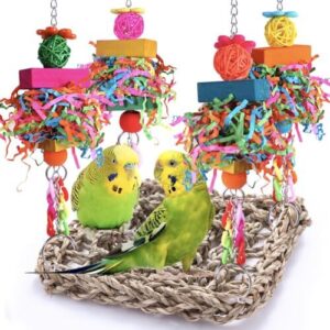 Parakeet Toys Bird Toys Conure B0D2RL526Y