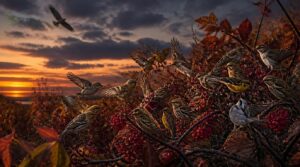 predation and feeding trade-offs predation and feeding trade-offs