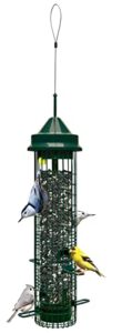 Squirrel Buster Classic Squirrel proof Bird B000HHHEF0