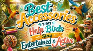 what accessories help birds stay entertained