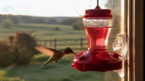 window-mount feeder spots window-mount feeder spots