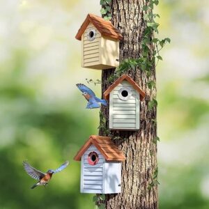 3pk Bluebird Bird Houses for B0BBFGZVS3