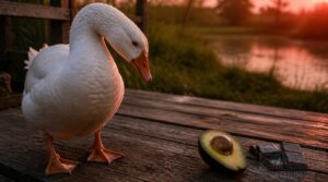 avocado and chocolate avocado and chocolate