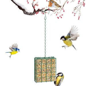 Bird Feeder for Outdoors, Suet B0DDPZ229J