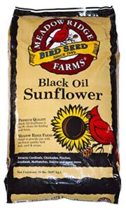 Black Oil Sunflower Bird Seed, B07SBKFFDQ