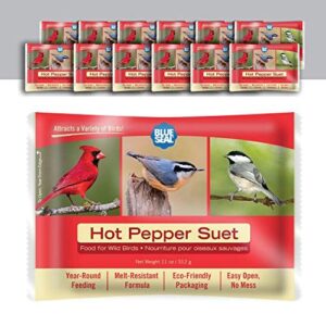 Blue Seal Hot Pepper Suet B08GXMZNL8