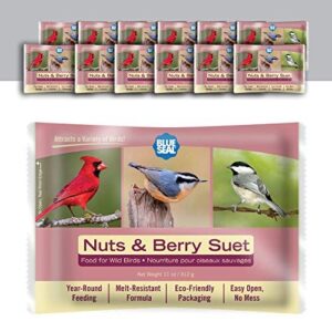 Blue Seal Nuts & Berry B08GYFVVLB