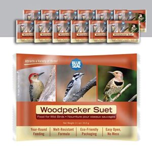 Blue Seal Woodpecker Suet Cake B08GY6C1JZ