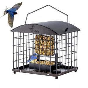 Caged Suet Feeders Squirrel Proof, Dual Purpose B0CK1BCXQ2