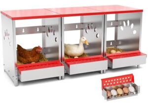 Chicken Nesting Boxes, 3 Hole B0FPFHBBNG