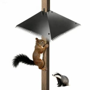 Galvanized Steel Squirrel Guard with B0FG1TJZH6