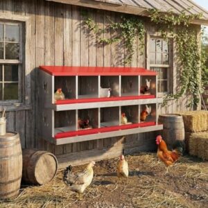 GarveeLife 10 Compartment Chicken Nesting B0GN93P5Y6