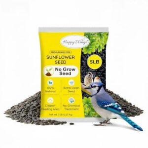 Happy Wings Black Oil Sunflower B09Y5SGZPG