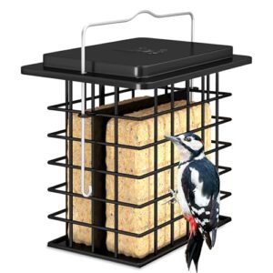 iBorn Double Suet Feeder for B0CP3XYV78