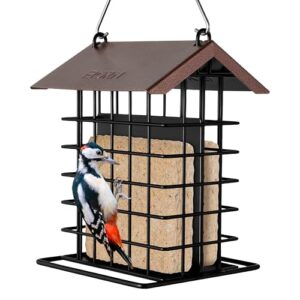iBorn Suet Feeder for Outside B0FMRGDK5M
