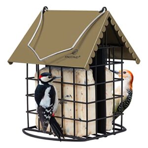 Kingsyard Double Suet Bird Feeder B0B42N6BV1